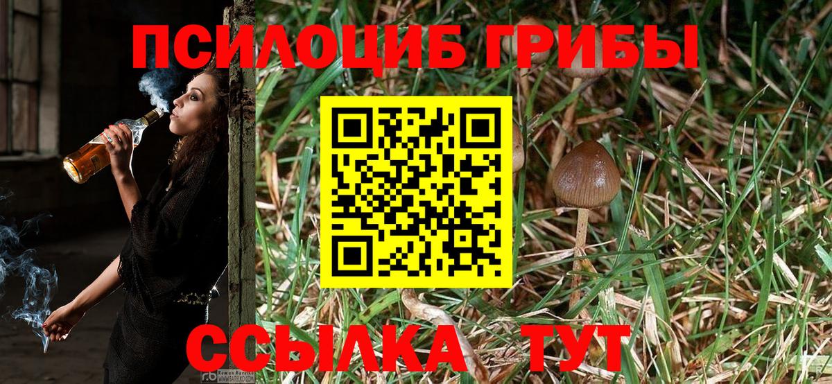 Галлюциногенные грибы GOLDEN TEACHER  Галлюциногенные грибы MAGIC MUSHROOMS  Строитель  Вход с VPN 